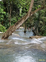 jamaique-falls207