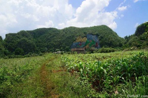 DSC08234vinales-el-mural