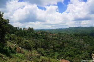 DSC09065topes-de-collantes