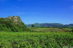 DSC08141vinales-vallee