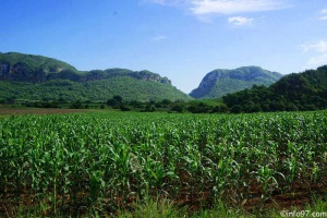 DSC08165vinales-vallee