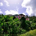 P1034996dominica-j1..jpg