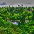 P1035014dominica-j1..jpg