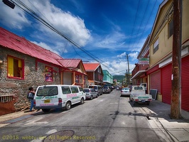 P1035036dominica-j2.