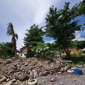 P1035080dominica-j2..jpg