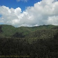 DJI_0007dominica-j3..jpg