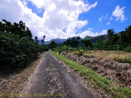 P1035097dominica-j3.