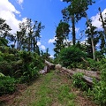 P1035108dominica-j3..jpg