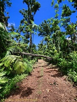 P1035120dominica-j3.