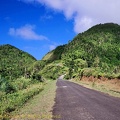 P1035157dominica-j3..jpg