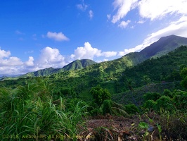 P1035159dominica-j3.