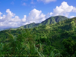 P1035160dominica-j3.