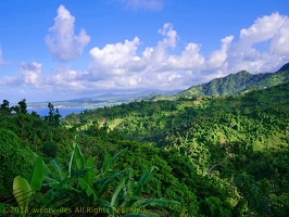 P1035164dominica-j3.