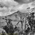 P1035181dominica-j4..jpg