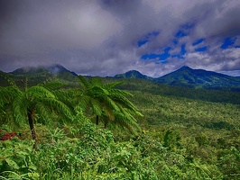 P1035224dominica-j4.