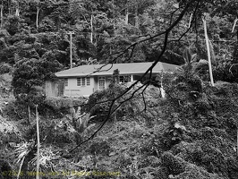 P1035235dominica-j4.