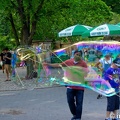 DSC04557-central-Park.jpg