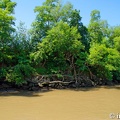 DSC04425-circle-line.jpg