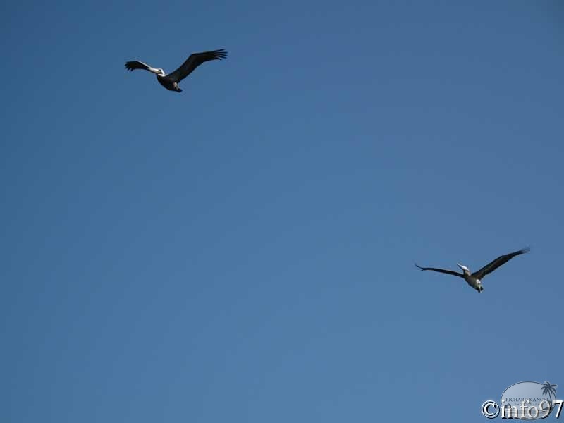 IMG_1685.jpg
