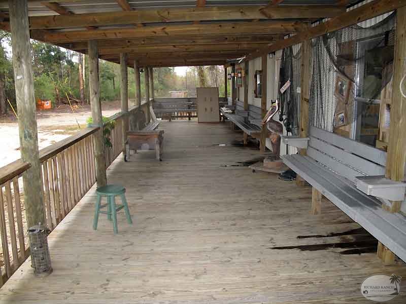 bayou1.jpg