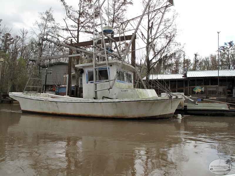 bayou10.jpg