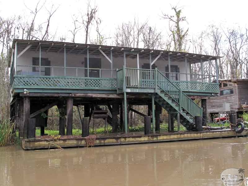 bayou11.jpg