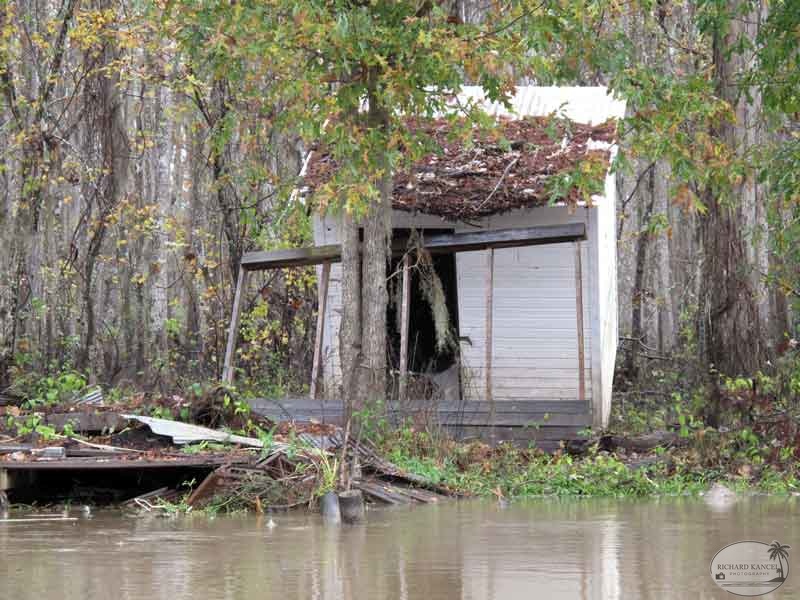 bayou17.jpg