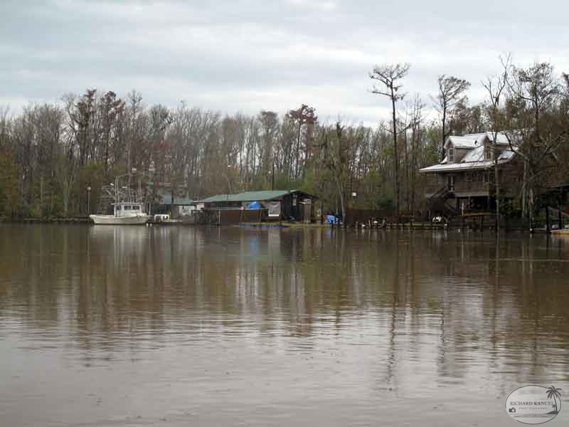 bayou6.jpg