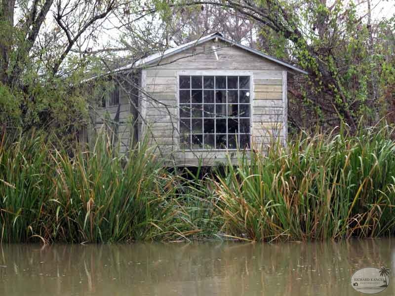 bayou7.jpg
