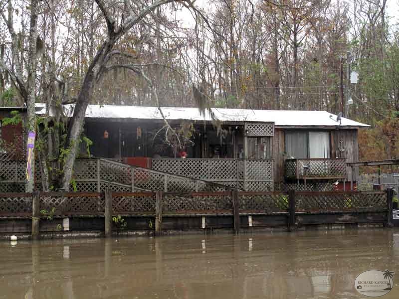 bayou8.jpg