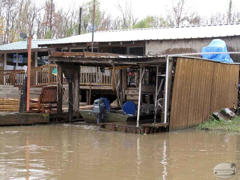 bayou9.jpg