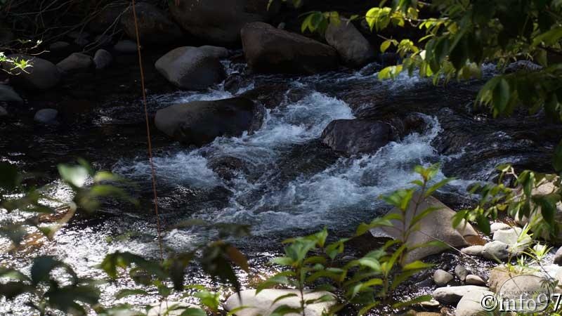 jardin-eau-7.jpg