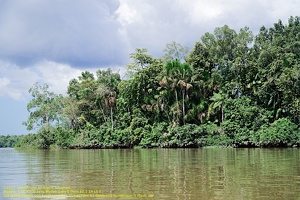 guyane06-st-laurent-fleuve