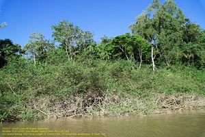 guyane19-st-laurent-fleuve