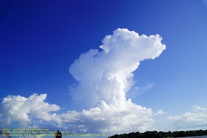 guyane25-st-laurent-fleuve