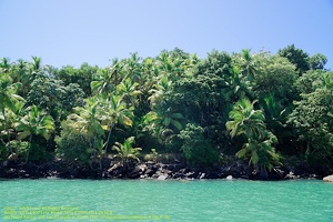 guyane030-iles-du-salut