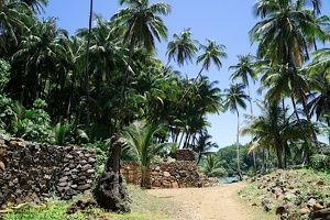 guyane060-iles-du-salut