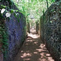 guyane069-iles-du-salut.jpg