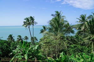 guyane083-iles-du-salut