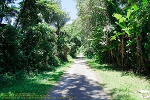 guyane002-marais-kaw