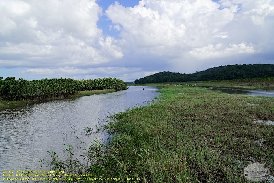 guyane060-marais-kaw.jpg