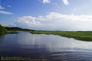 guyane066-marais-kaw