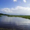 guyane066-marais-kaw.jpg