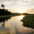 guyane076-marais-kaw.jpg
