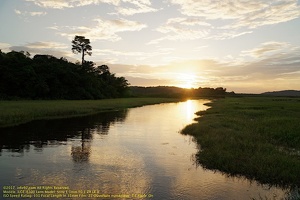 guyane078-marais-kaw