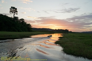 guyane083-marais-kaw