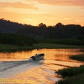 guyane084-marais-kaw.jpg