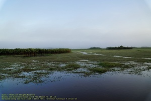 guyane105-marais-kaw