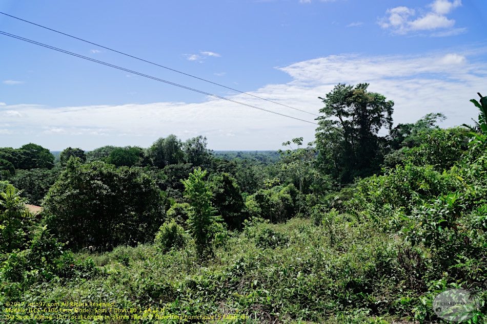 guyane112-marais-kaw.jpg