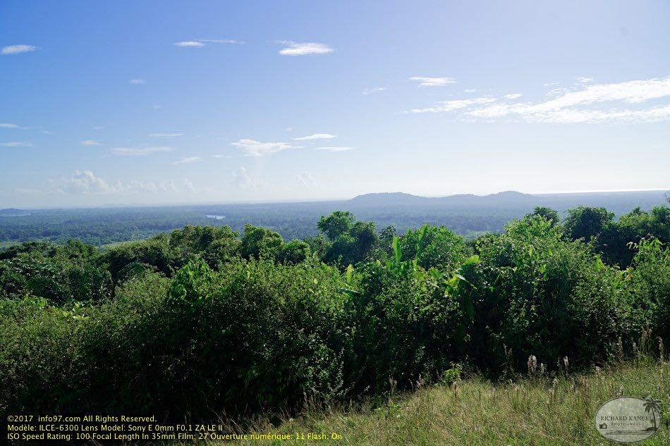 guyane06-montagne-des-singes.jpg